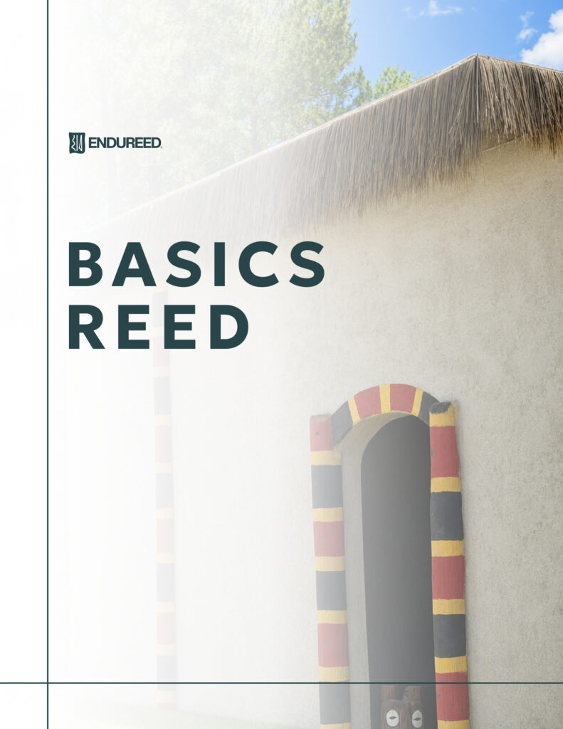 BASICS REED